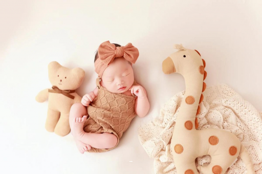 包头宝宝虾的做法